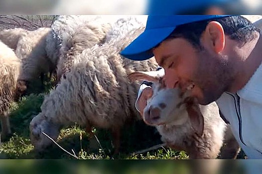 Азербайджанский пастух поет о любви