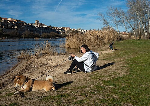 Названы популярные города для путешествий с собаками