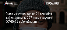 Стало известно, где на 24 сентября зафиксированы 227 новых случаев COVID-19 в Ленобласти