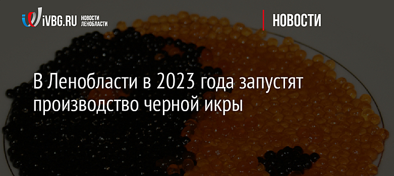В Ленобласти в 2023 года запустят производство черной икры