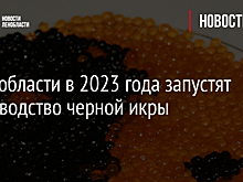 В Ленобласти в 2023 года запустят производство черной икры