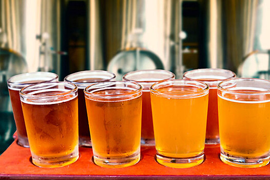 В МВД поддержали возвращение пива на российские стадионы с учетом ряда условий