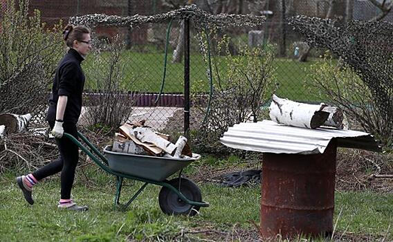 Дачников будут штрафовать беспощадно - надо латать дыру в бюджете