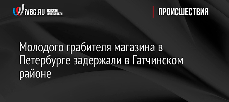 Молодого грабителя магазина в Петербурге задержали в Гатчинском районе