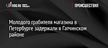 Молодого грабителя магазина в Петербурге задержали в Гатчинском районе