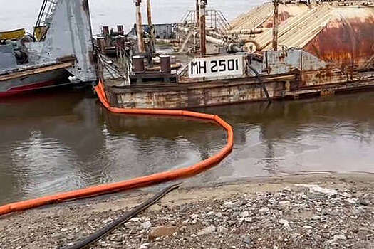 Росприроднадзор: в Черное море попало 30 кубометров нефти