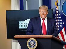 В России объяснили нежелание Трампа встречаться с Путиным и Зеленским