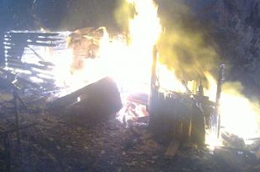 В Новоржевском районе на пожаре погиб мужчина