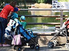 Программу маткапитала задумали сделать бессрочной