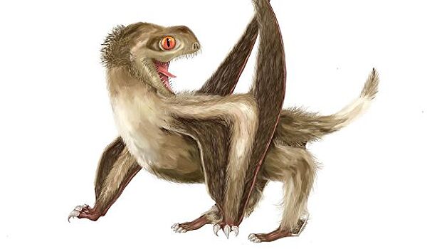 Палеонтологи раскрыли загадку появления перьев