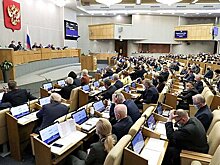 Депутаты Госдумы задекларировали свинарник, лесопилку и овощехранилище