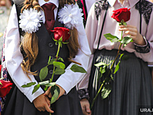 Депутаты готовят новый закон о зачислении россиян в школы