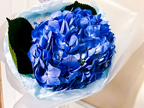 Любовный гороскоп на 24 января 2025 года: что обещают астрологи