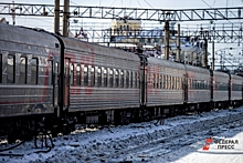 7-месячный ребенок умер в поезде Москва – Чита