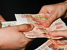 В Татарстане за полгода в "Народный контроль" поступило 21 обращение о признаках коррупции