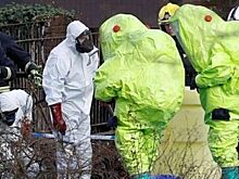 В Совфеде понадеялись, что британцы не будут подделывать показания Юлии Скрипаль