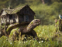 Пять фактов об ипотечном кредитовании на первичном рынке в Москве и Петербурге