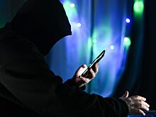 МВД предупредило россиян о новом мошенничестве с инвестициями