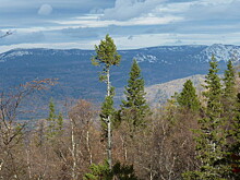 Летопись природы: в нацпарке «Зигальга» появилась метеостанция
