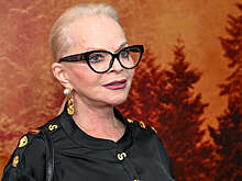 SHOT: премиум-автомобиль Toyota Alphard Ларисы Долиной попал в аварию в Москве