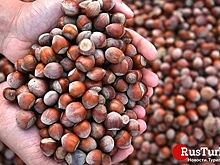 Украина в 2020 г. увеличила долг на $14 млрд через продажу облигаций