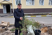 Депутат регионального парламента Владимир Гуселетов сделал вклад в озеленение города