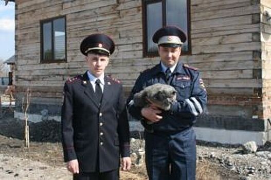 В Красноярском крае полицейские бросились в огонь, чтобы спасти кота