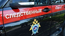 В Москве  расследуют нападение на полицейских