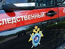 В Москве  расследуют нападение на полицейских