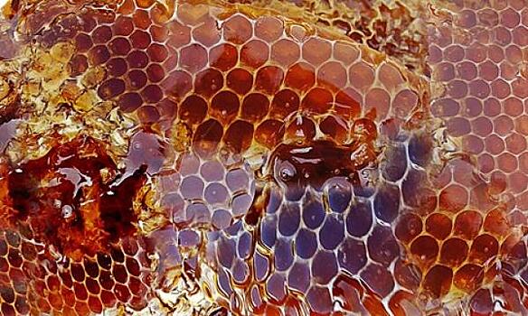 На прилавках магазинов может быть алтайский мед от отравившихся пчел