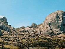 Названо лучшее направление 2025 года