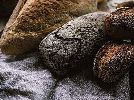 "Сколково": в России начали печь хлеб из мух