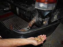 У калининградца на польской границе изъяли контрабандный янтарь стоимостью 236 тыс. рублей