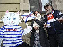 В Петербурге установят фигуры котов-футболистов