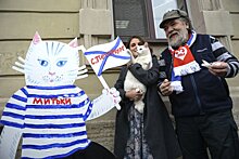 В Петербурге установят фигуры котов-футболистов