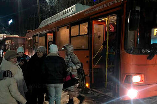 Автобус с туристами заглох под Арзамасом из-за замерзшего топлива