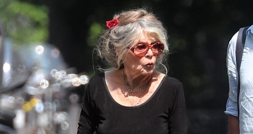 Добровинский: Брижит Бардо перед смертью хотела приехать в Россию