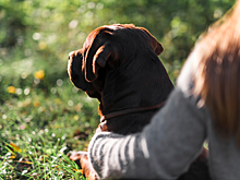 «Увлекался несовершеннолетними»: в Волгограде 72-летнего экс-чиновника заподозрили в растлении девочек