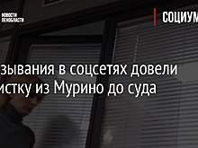 Высказывания в соцсетях довели активистку из Мурино до суда