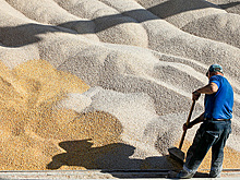 ЛНР начнет экспорт зерна в Россию по железной дороге