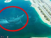 Невиданные гиганты, найденные на картах Google Maps