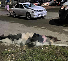 Момент смертельного ДТП с пешеходом в Кузбассе попал на видео
