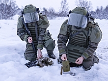 В Курской области разминируют приграничье с участием саперов из КНДР