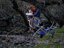 Чтобы избежать воровства, в Хьюстоне объявили комендантский час