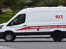 На КАД произошло столкновение легковой машины с грузовиком