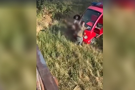 Прокусил горло: в сети появилось видео нападения льва на владельца крымского парка «Тайган» Олега Зубкова