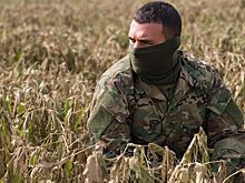 Грант «Агромотиватор» станет доступен для ветеранов СВО в Удмуртии с 2026 года