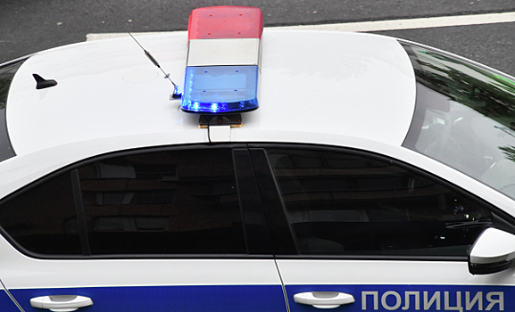 Полиция задержала в Шереметьево женщину, сообщившую о бомбе в сумке