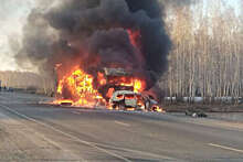 Фура и легковушка сгорели дотла после ДТП в Омской области, один из водителей погиб