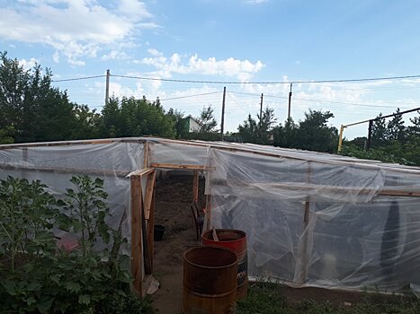 Весёлая делянка: оренбуржец в теплицах выращивал коноплю